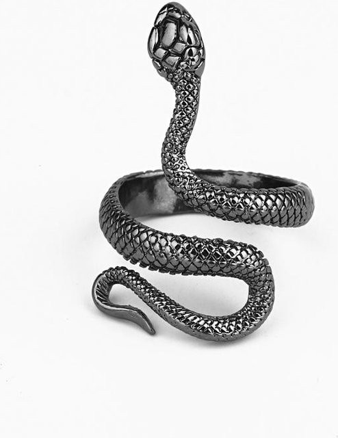 Ring Schlange Python, Messing, Silber, Unisex - Bild 1