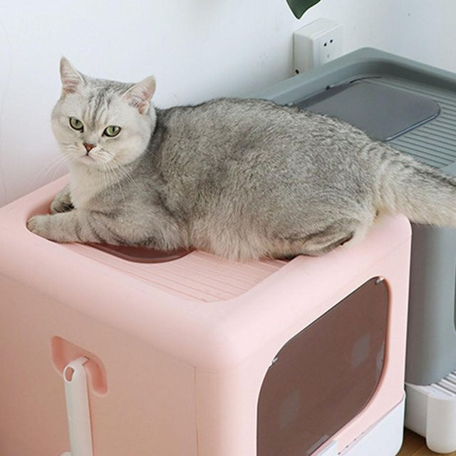 Aimo Katzenklo aus Kunststoff in Rosa, auslaufsichere Katzentoilette in Großformat - Bild 1