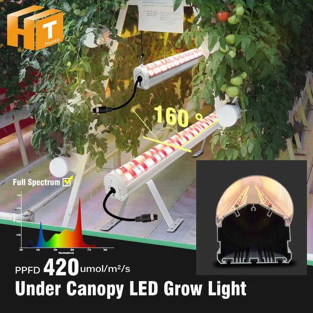Hunta LED-Pflanzenlicht 150W Canopy-Wachstumslampe mit 6500K Cool White, IR 730nm und UV 395nm, LM281B Chips, Silber - Bild 1