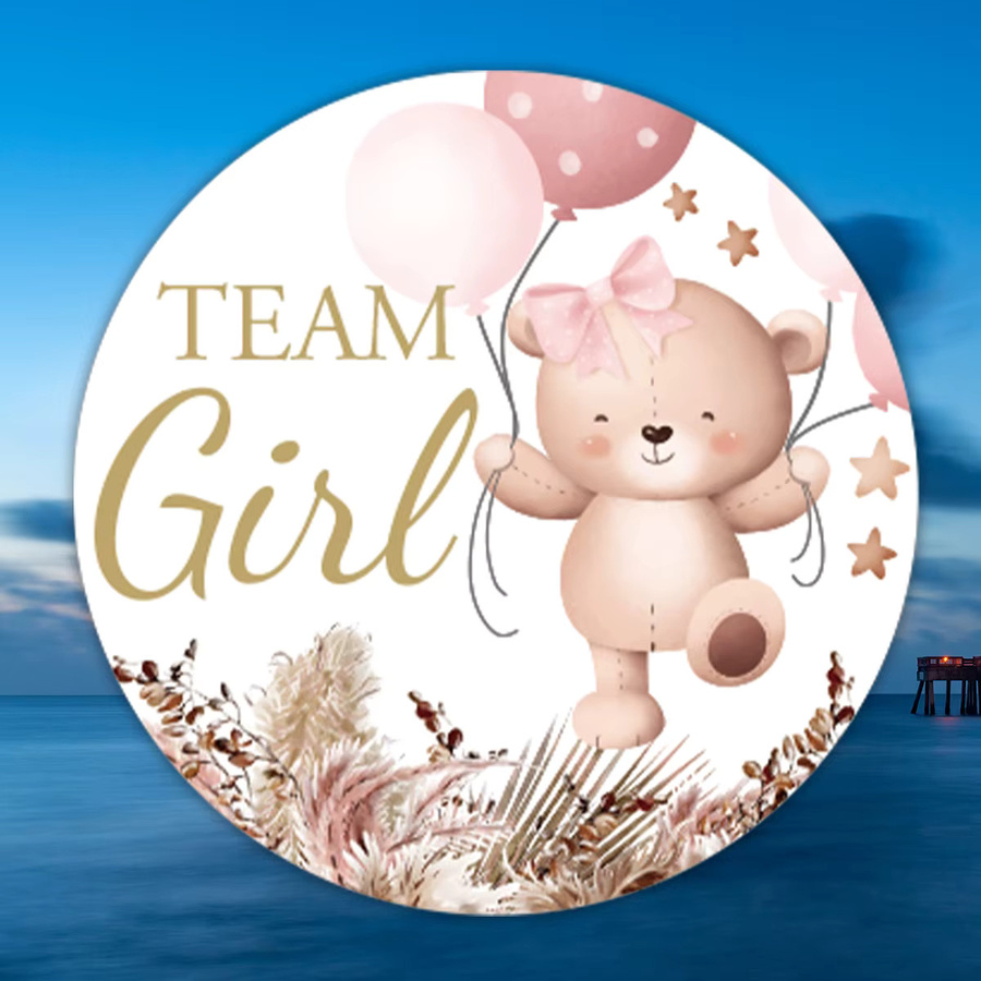 120 Stück Bär-Aufkleber in Rosa und Blau für Party-Dekoration und Geschenkverpackungen, 10 Blatt Papier-Aufkleber für Team-Aktivitäten und Babypartys - Bild 2