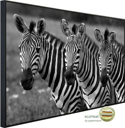 papermoon Infrarotheizung EcoHeat Zebras Schwarz Weiss mit Matt-Effekt und App-Steuerung - Bild 1