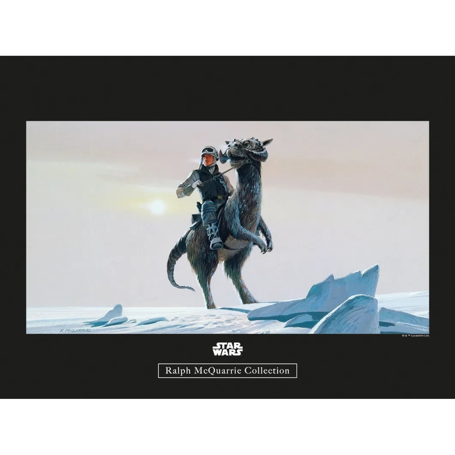 Komar Wandbild Star Wars Tauntaun aus Qualitätsvlies, Multicolor, B: 40 cm, H: 30 cm - Bild 2