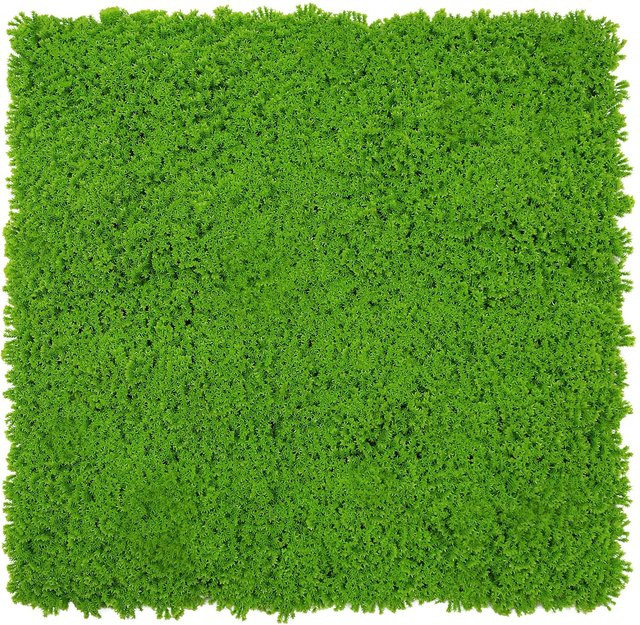 Jangal Wandpaneel Modular Wall Lime Green Design Moos B/H: 52 x 52 cm - Bild 1