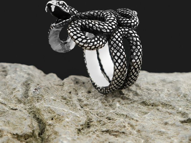 NORTHMAN Ring Edelstahl, Silber, Schlangen, Vintage, Unisex - Bild 1