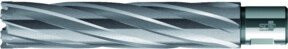BDS Kernbohrer HKE-L Weldon HM extralang, Durchmesser: 52 mm, Farbe: Silber - Bild 1