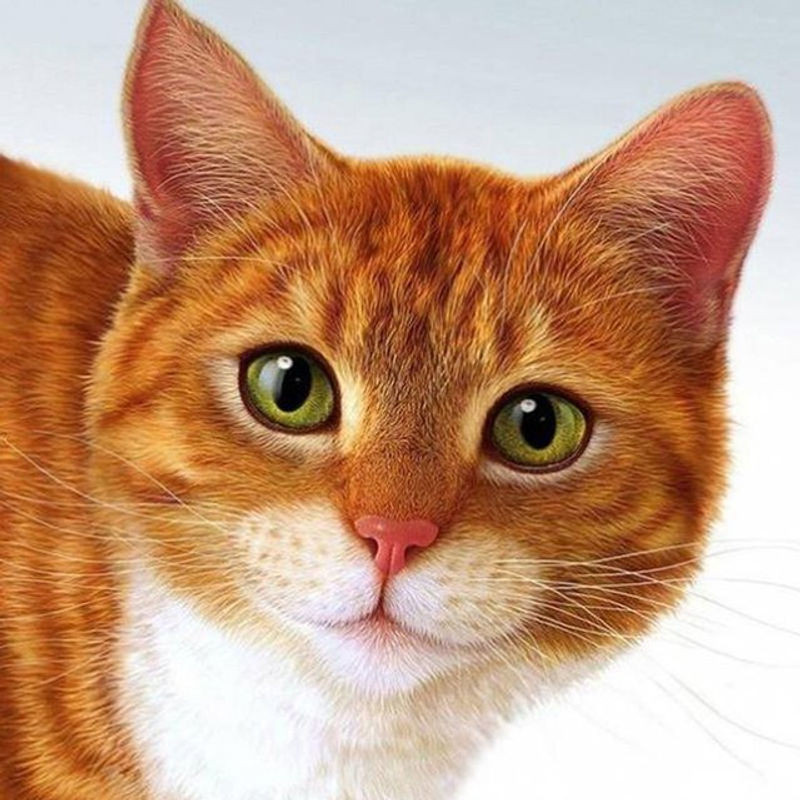 FIYO Diamond Painting Set Motiv Katze, Mehrfarbig, Rahmenlos, 30 x 30 cm - Bild 1