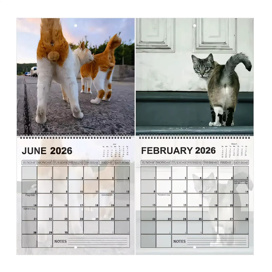 Wandkalender 2026 Katze Monatskalender mit 12 Monaten in Blau und Multicolour - Bild 4