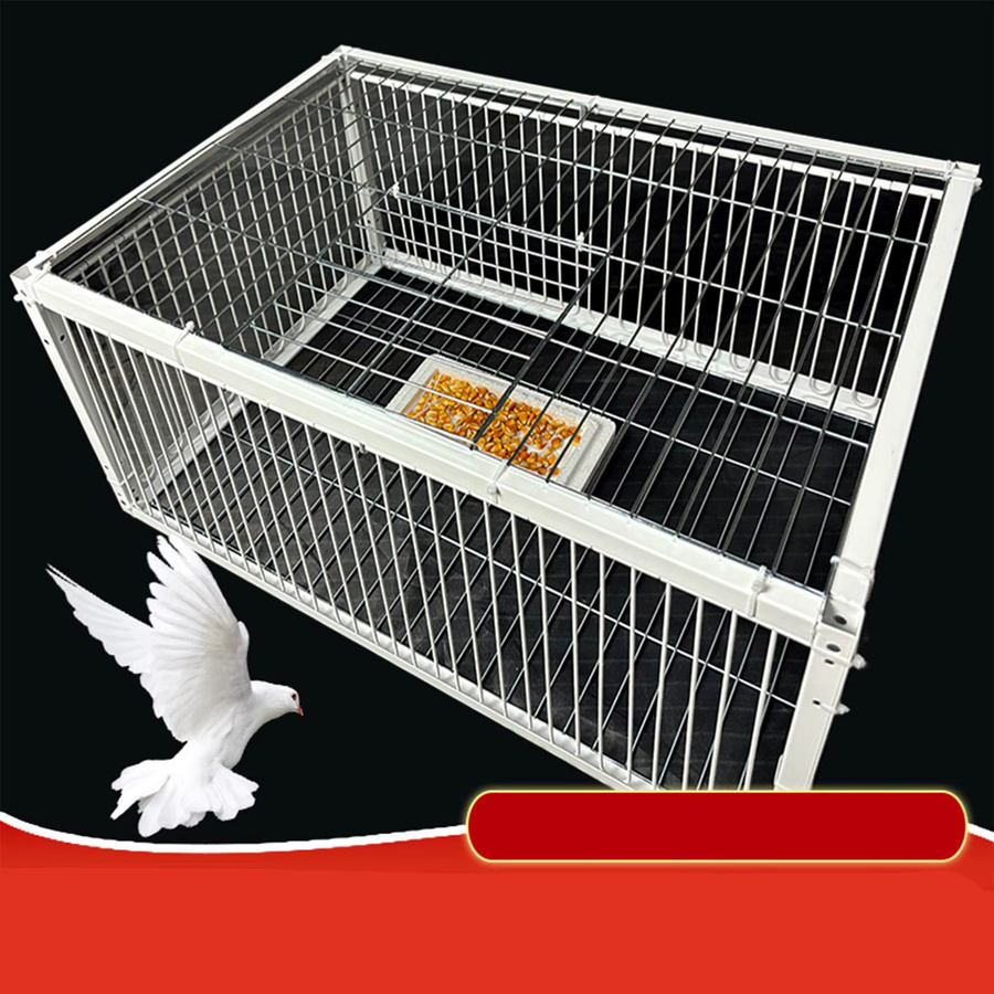 Serenable Automatischer Taubenkäfig aus verdicktem Material, auslaufsicherer Taubenstall in Silber für Rennsporttauben, Bauernhöfe und Gärten - Bild 2