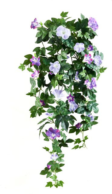 Künstliche Prunkwinde Lysandra von Aplanta, Höhe: 80 cm - Bild 1