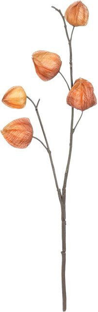 Mica Decorations Kunstblume Chinesische Laterne Braun 40 cm - Bild 1