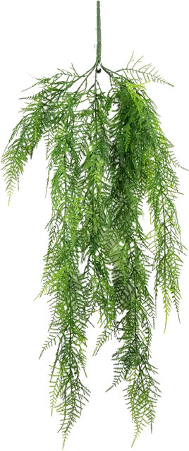 Künstlicher Hänge-Asparagus Elaine von Aplanta, Grün, Höhe: 75 cm - Bild 1