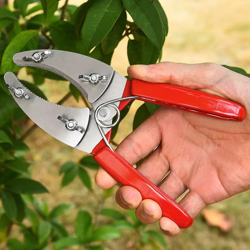 Professionelle Baumring-Schneideschere aus Edelstahl in Rot für die Veredelung und Gartenarbeit - Bild 3