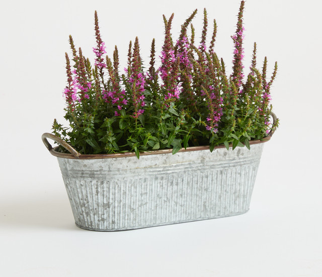 BLUME2000 Übertopf aus Zink in Antik Grau, Tabletop - Bild 1