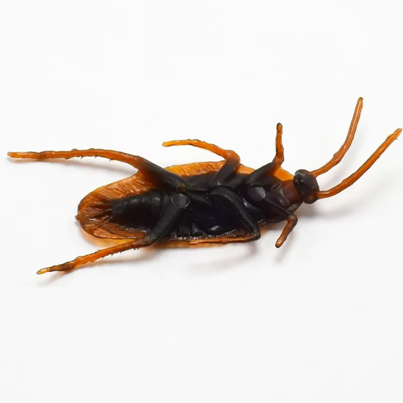 Haifeng Schreckliche lustige Kakerlaken, Spielzeugfigur, Insekten - Bild 3