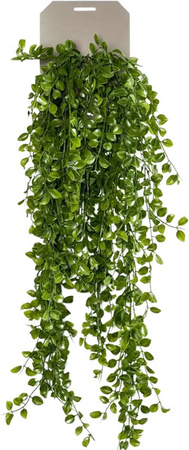 Künstlicher Kletterficus Robin von artplants in Grün, Höhe: 80 cm