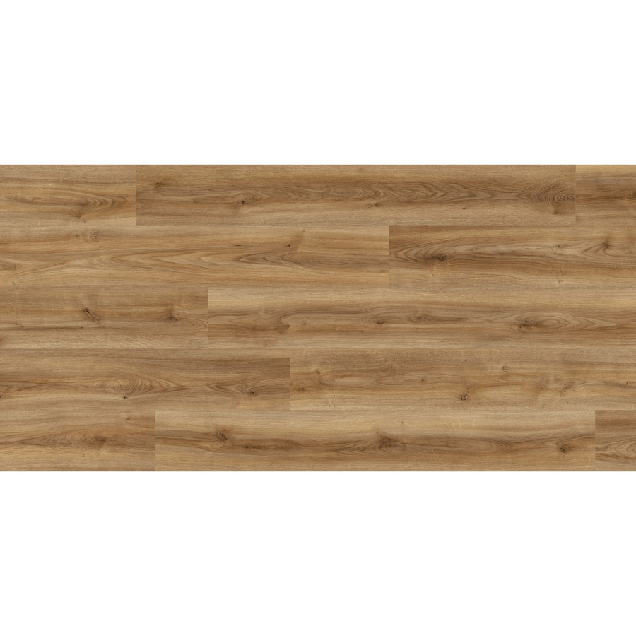 Kaindl Proganic Laminat Eiche Cordoba Noble in Holzoptik, wasserfest, 8,5 mm Stärke - Bild 2