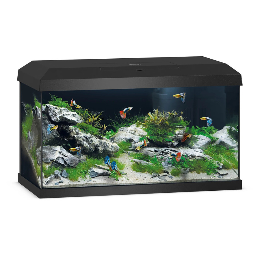 Juwel Aquarium Primo 60 LED 2.0 Schwarz - Bild 2