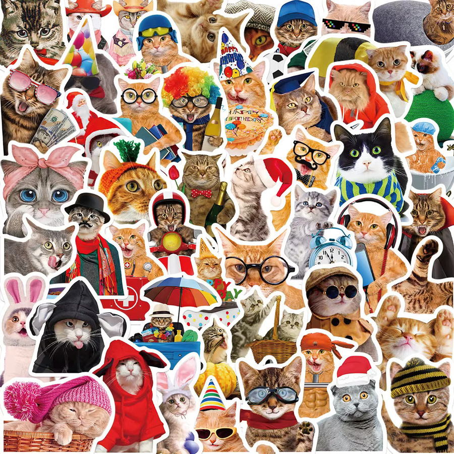 50 Stück Lustige Meme Aufkleber mit Katzen und Hunden in Multicolour für Laptop, Telefon und Gepäck von BulingBulingStickers Shop - Bild 3