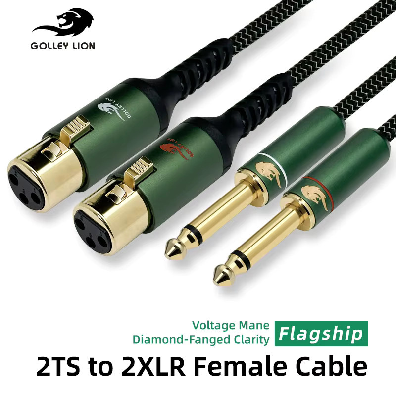 GOLLEY LION HIFI Stereokabel mit 2x 6,35mm Klinke auf 2x XLR Buchse, vergoldete Anschlüsse und abgeschirmte Leitung für Studioaufnahmen - Bild 2