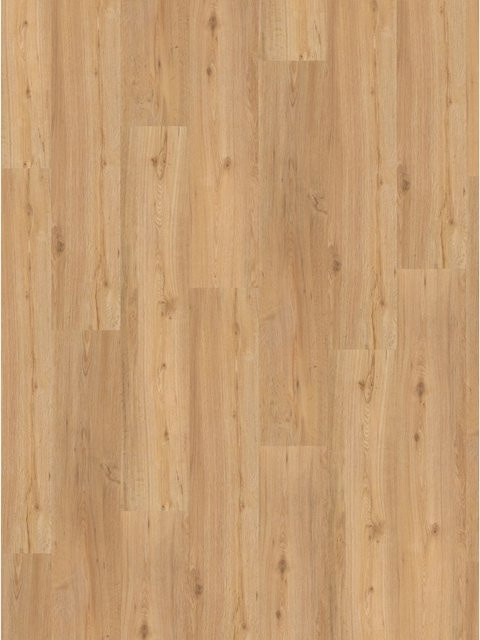 Parador Klick-Vinylboden Basic 30 Eiche Modena Natur in Holzoptik mit gebürsteter Struktur, Farbe: Braun - Bild 1