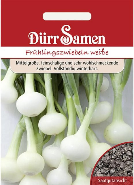 Dürr Frühlingszwiebeln Vaugirard Weiße Saatgut 400 g - Bild 1