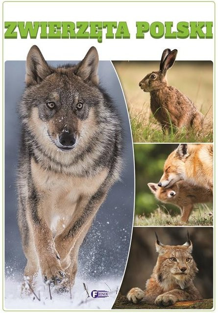 Tiere Polens Atlas Führer, Gebundene Ausgabe - Bild 1