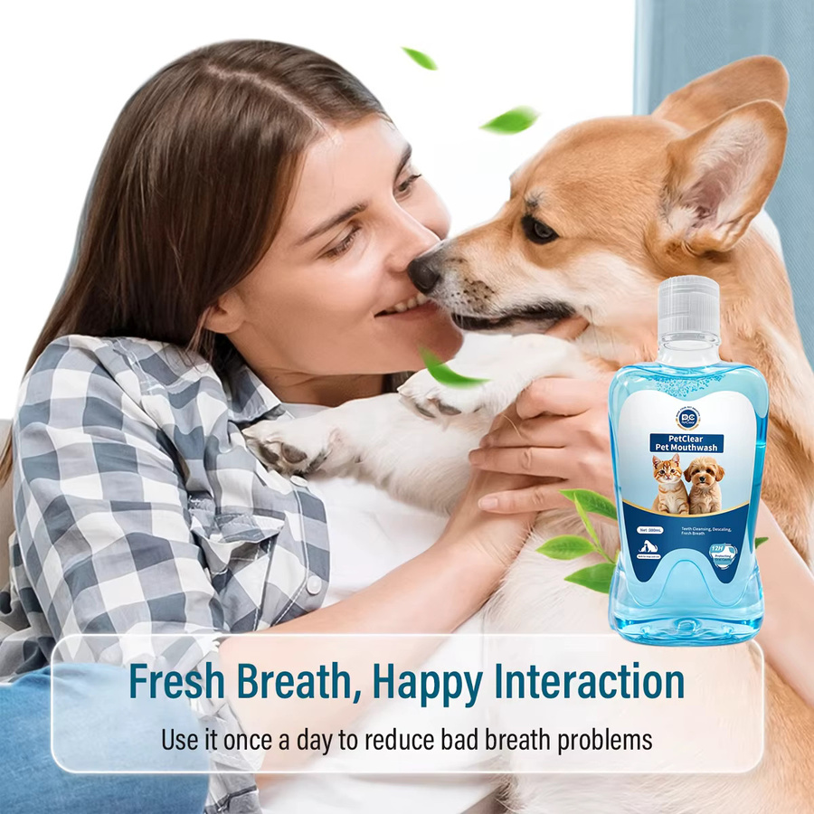 PetClear Haustier-Mundreinigungswasser für Hunde und Katzen zur Zahnpflege und Zahnstein-Entfernung, Blau, 380ml - Bild 2