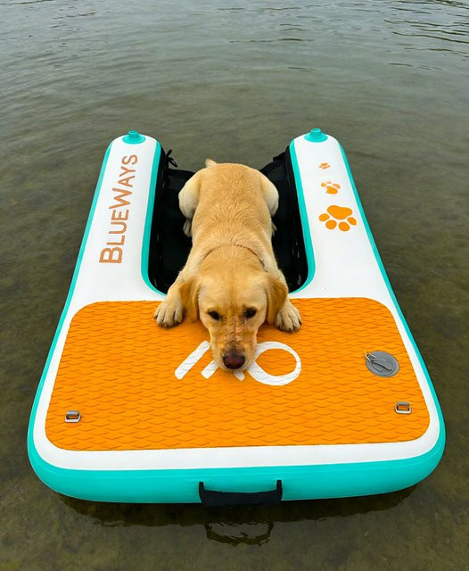 XMSJ Aufblasbare Hunderampe aus PVC, rutschfeste schwimmende Hundeplattform für Pool, See, Dock und Teich in Multicolour - Bild 1