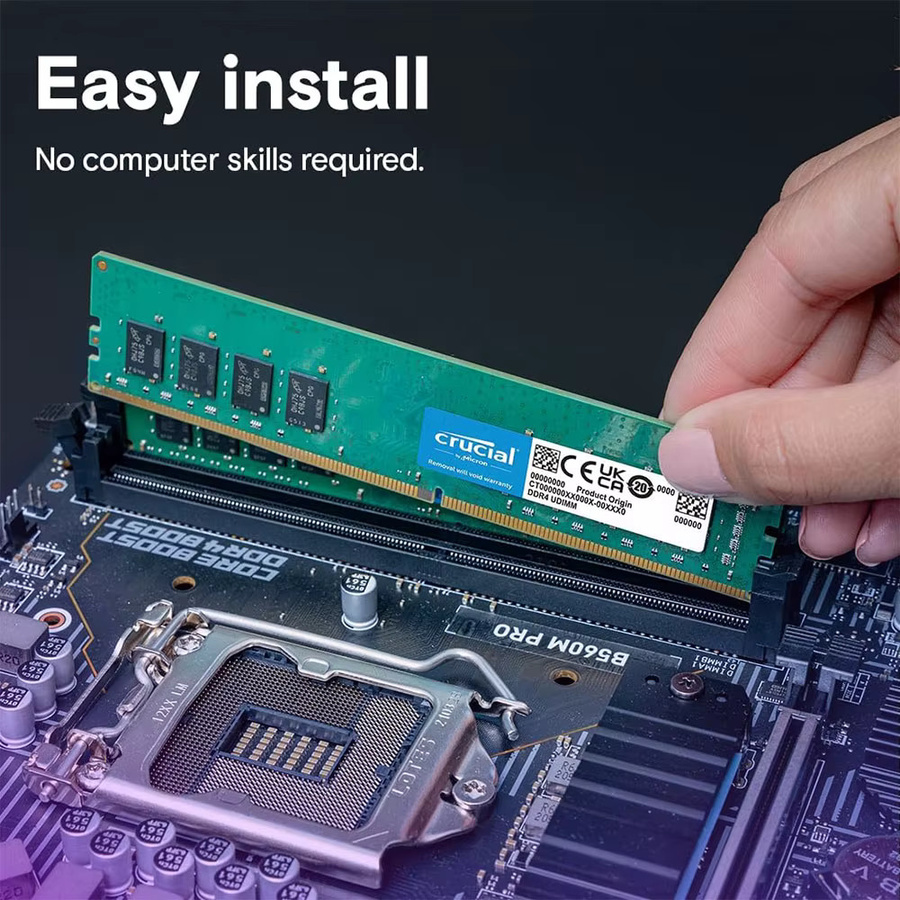 Crucial Memoria RAM DDR4 Desktop-Speicher DIMM für Intel und AMD, Farbe: grün - Bild 4
