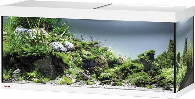 Eheim Vivaline LED Aquarium-Glasbecken mit Abdeckung Weiß 240 - Bild 1