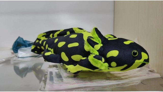 Kidsly Newt-Plüschtier, Axolotl, Salamander, grün, bunt, 45 cm - Bild 1