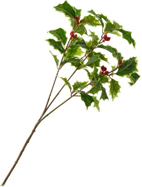 Künstlicher Ilex Zweig mit Beeren in Grün, Höhe: 40 cm - Bild 1