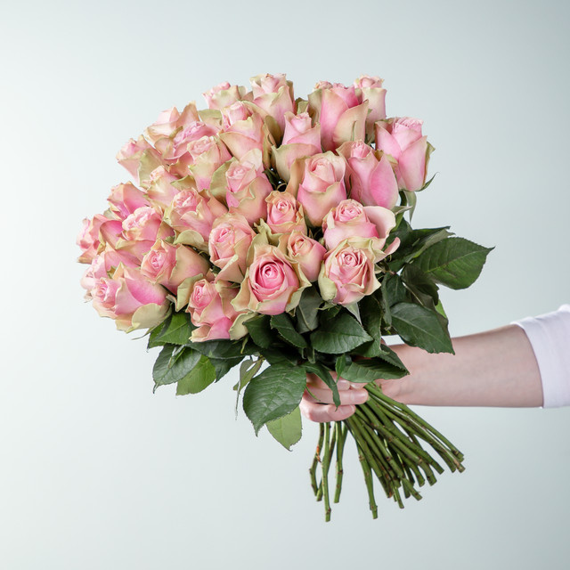 BLUME2000 Edelrosen Belle Rose pink 30 Stiele - Bild 1