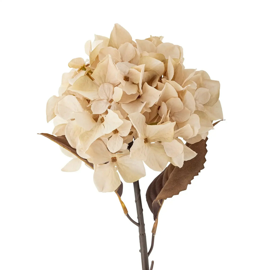 Bloomingville Hortensienstiel Kunstblume Hydrangea in Beige - Bild 1
