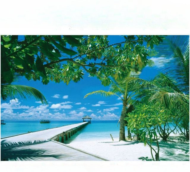 MaxRenard Kokospalmen Puzzle, 1000 Teile - Bild 1