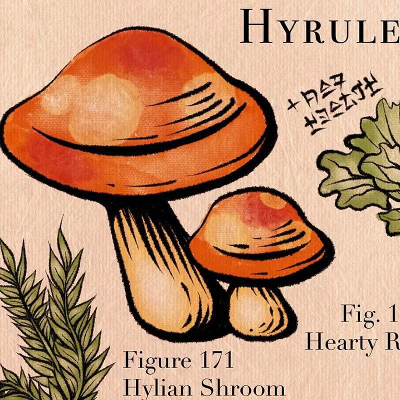 Hyrule Compendium Illustration Poster Botanischer Druck mit Pilzen und Blumen als Leinwand Kunstbild in Multicolor - Bild 2