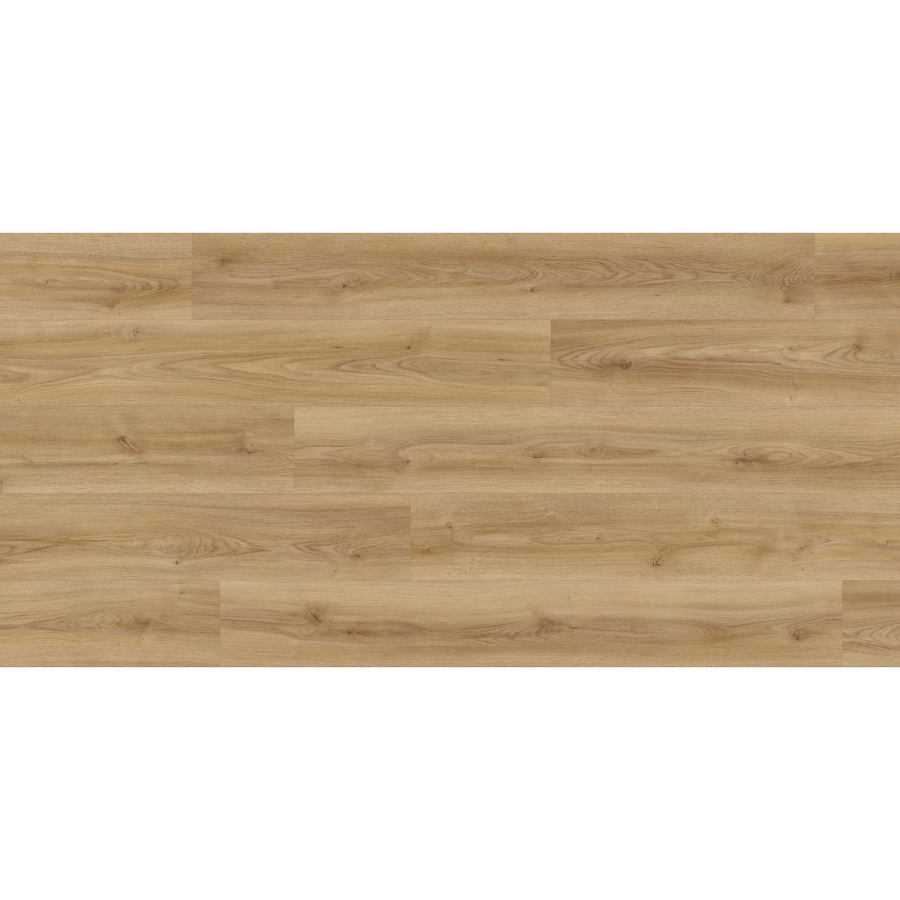 Kaindl Proganic Laminat Eiche Cordoba wasserfest in Holzoptik 8,5 mm Stärke - Bild 2
