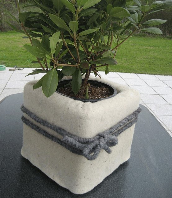 Winterschutzmatte aus Schafwolle in naturweiß, B/H: 200 x 20 cm - Bild 1