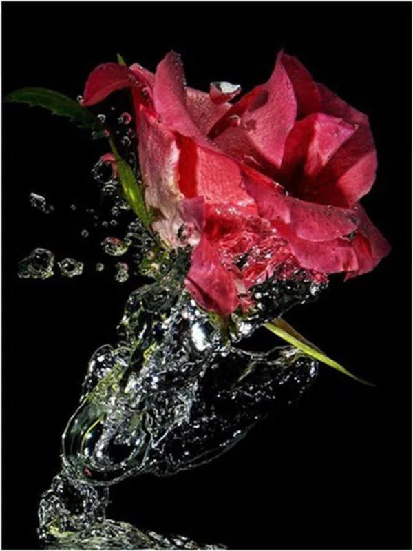 FIYO 5D Diamond Painting Rosen Blumen Rot Wanddeko B/H: 20 x 30 cm - Bild 1
