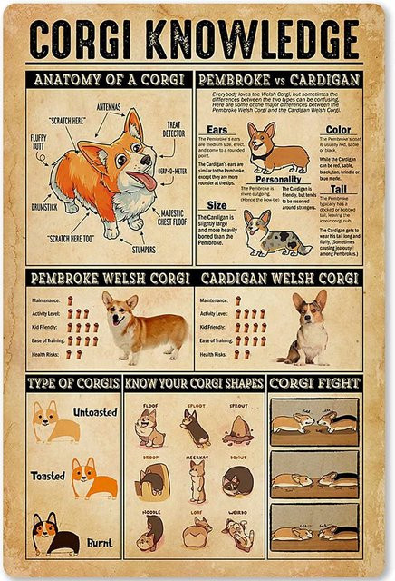 Veidsuh Corgi Knowledge Retro-Poster Wanddekoration Mehrfarbig B/H: 20 x 20 cm - Bild 1