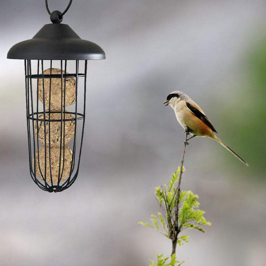 DIYelecs Vogel Futterspender aus Metall für Fettbällchen zum Aufhängen, Schwarz - Bild 3