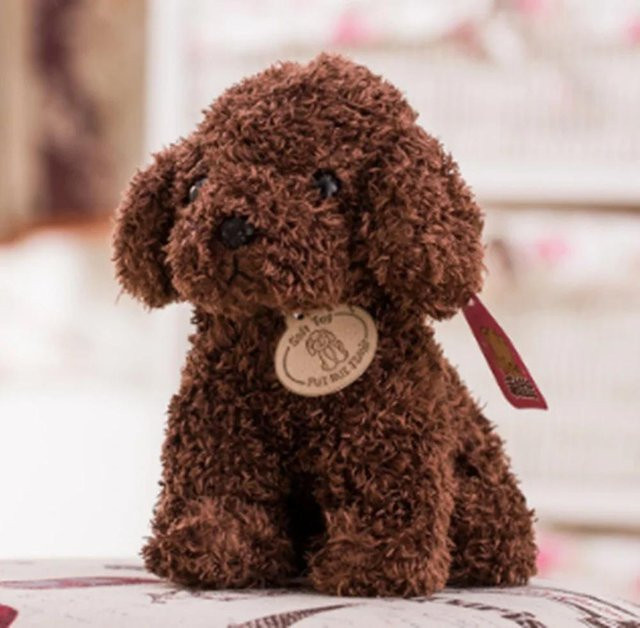 Niedriger Teddy-Hund Plüschtier Lockiger Hund Puppe mit Hängeetikett - Bild 1