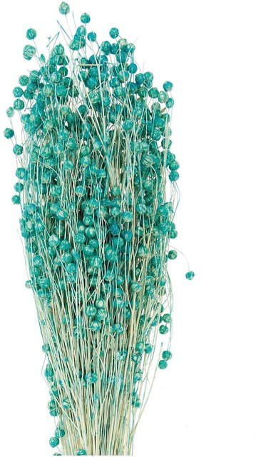 Rico Design Getrockneter Flachs in Türkis, 100 g - Bild 1
