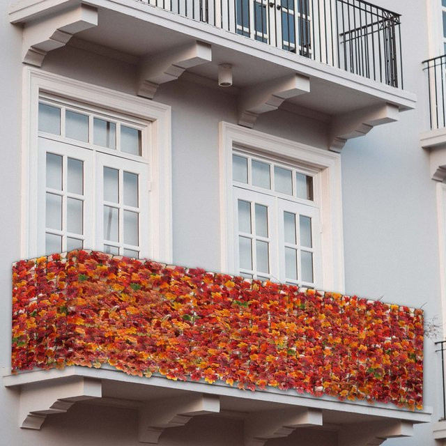 MCW Balkonsichtschutz Blatt Ahorn Rot-Gelb B: 300 cm, H: 150 cm - Bild 1