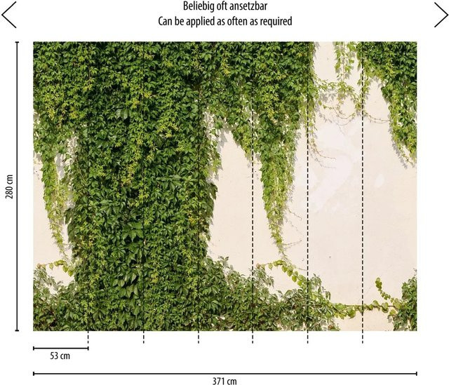 Livingwalls Fototapete Hedera in Grün und Creme-Beige mit floralem Naturmotiv, B: 371 cm, H: 280 cm - Bild 1