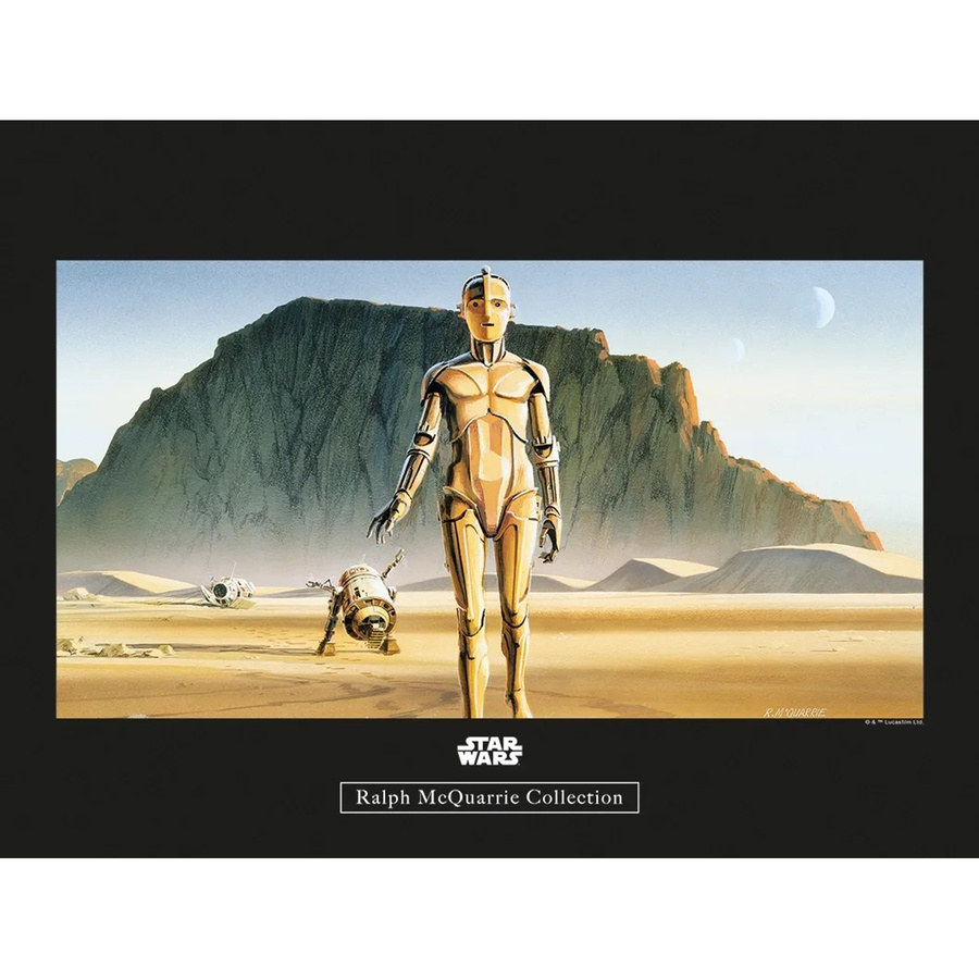 Komar Wandbild Star Wars Droids Multicolor B: 40 cm, H: 30 cm - Bild 2