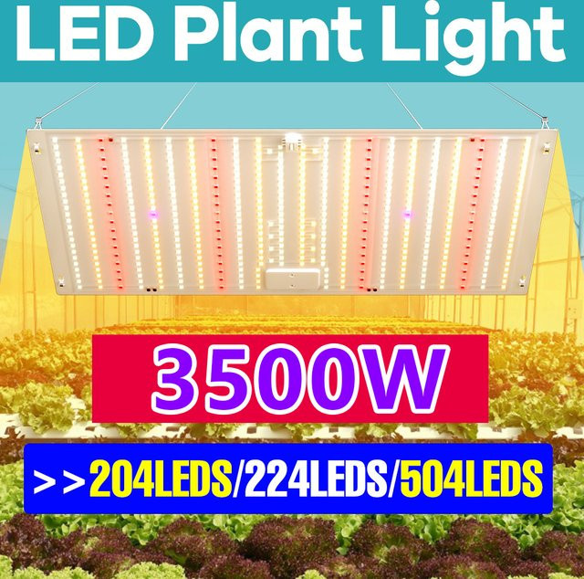 3500W LED-Pflanzenlampe Vollspektrum Quantum-Board in Weiß für Hydrokultur und Gewächshaus - Bild 1