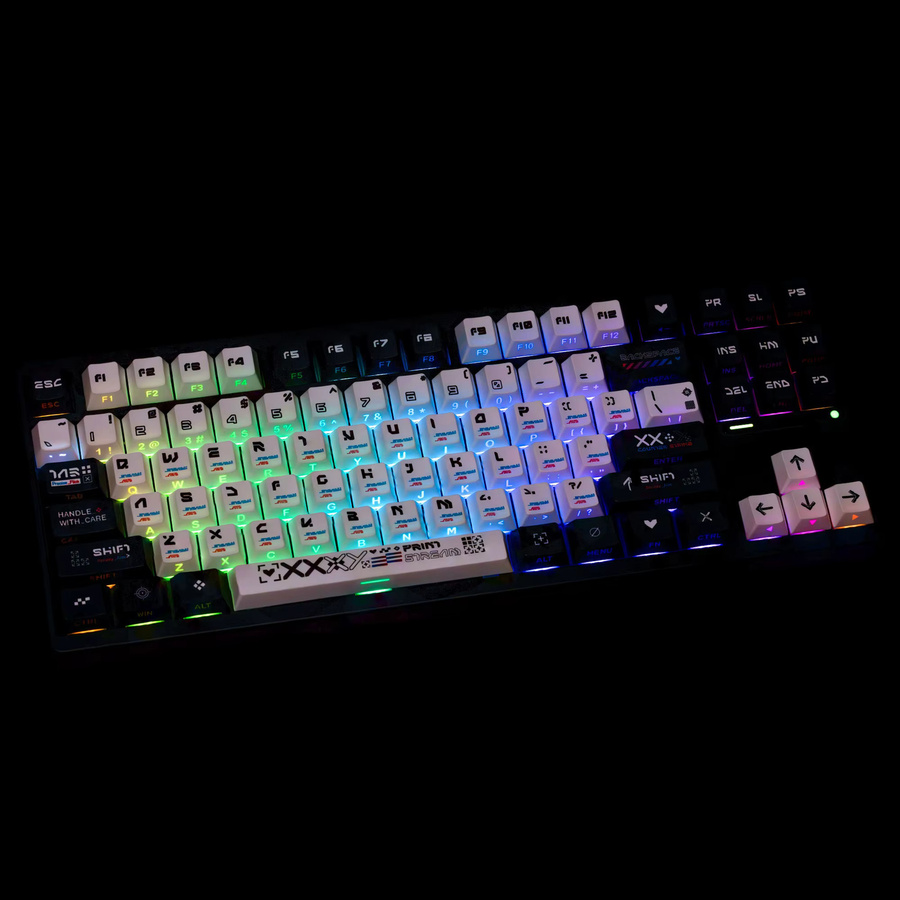 Eagiacme PBT Cherry Tastenkappen für mechanische Tastaturen in Schwarz und Weiß mit ISO FR DE ES Layout und seitlicher Hintergrundbeleuchtung - Bild 2
