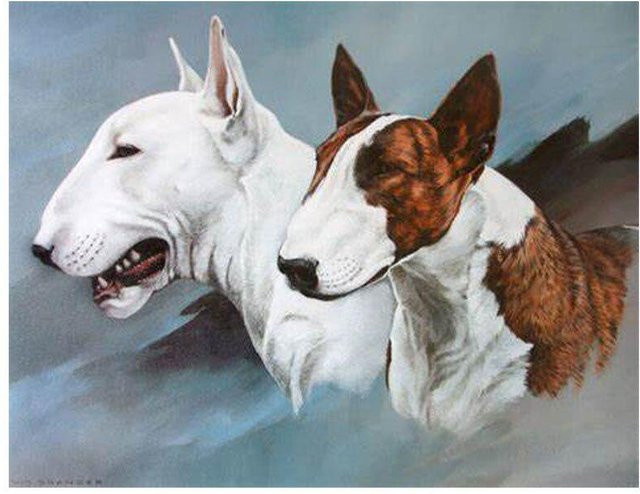 FIYO Bullterrier Diamantgemälde mit runden Diamanten, Hund Motiv, Mehrfarbig, Breite: 30 cm, Höhe: 20 cm - Bild 1