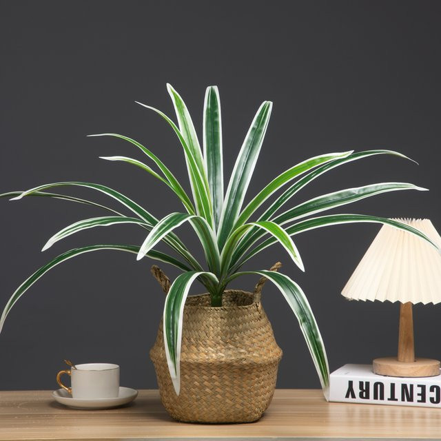 Künstliche Orchidee von Kmitang in Gelb mit 18 Zweigen, Höhe: 60 cm - Bild 1